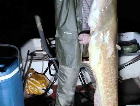 Das Bild zeigt Jürgen mit einem 148 cm großen Waller im Boot.