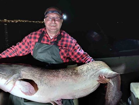 Das Bild zeigt Jürgen, der einen 180 cm langen Wels, den er soeben gefangen hat, präsentiert.