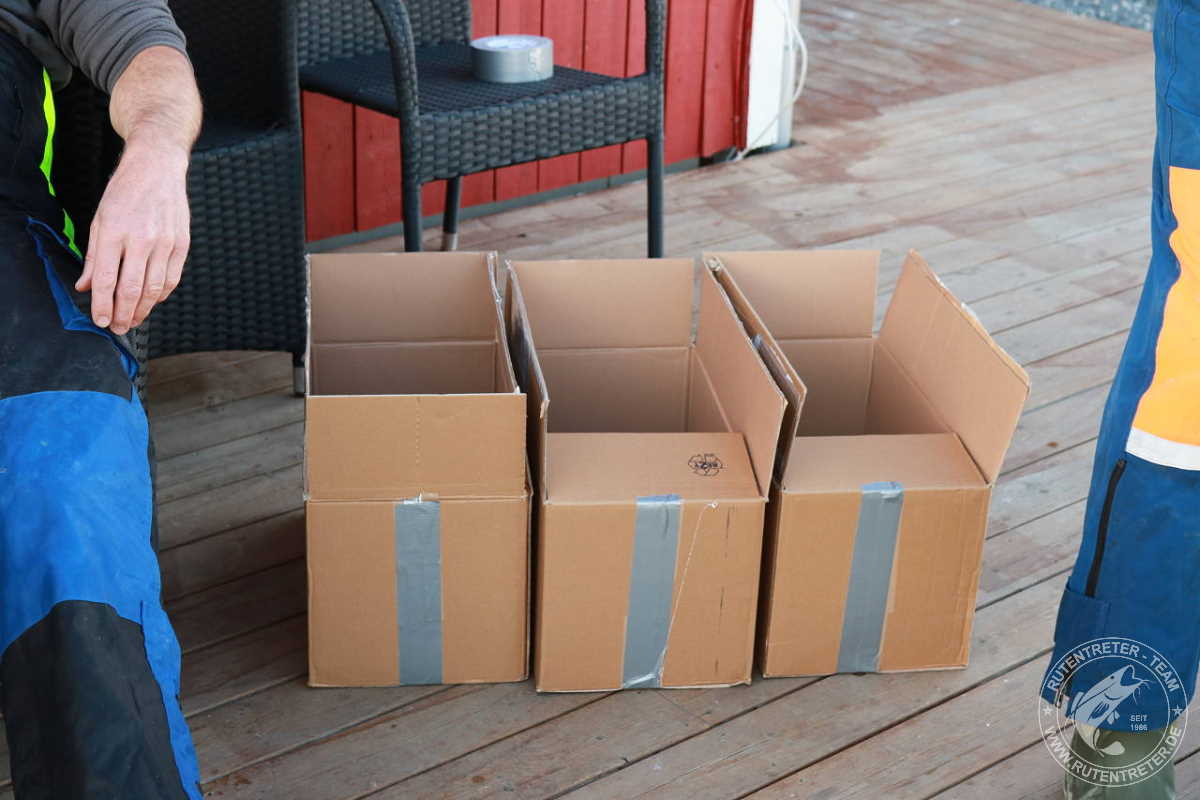 Kartons in der richtigen Größe für die Styroporboxen | © 2016 Rutentreter.de