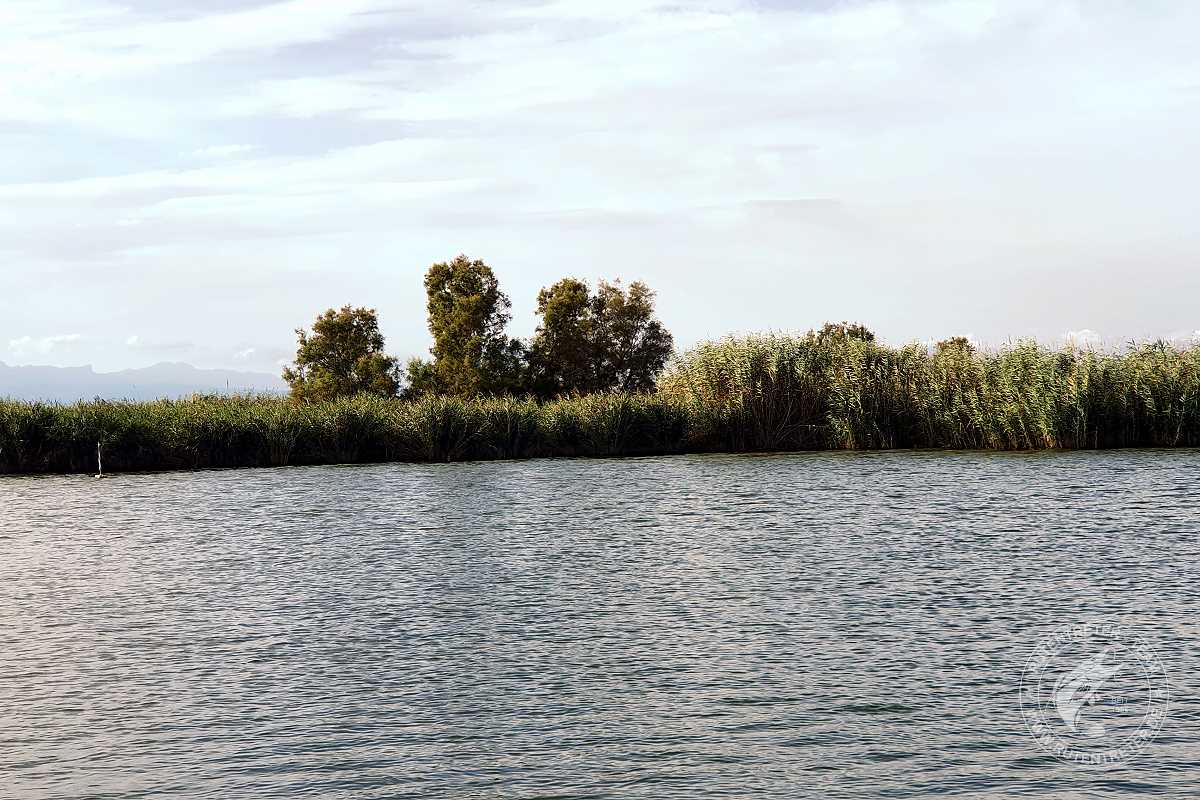 Uferbereich des Ebro  | © 2022 Rutentreter.de