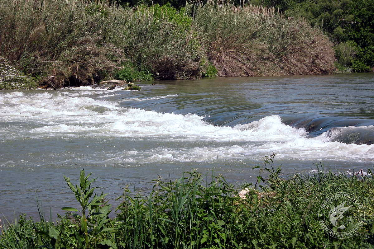 Einer der beiden Zuflüsse zum Ebro unweit der Ortschaft Mequinenza | © 2009 Rutentreter.de